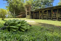 Waterfalls Heaven - Ecochontales