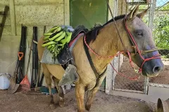 Waterfalls Heaven - Ecochontales